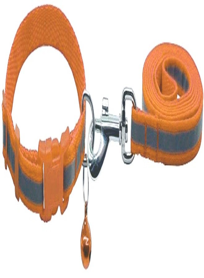 Pups&Pets Nylon Dog Leash with Collar Set for Puppy & Cats, 0.5 Inch Pet Reflective Nylon Collar with Leash Set Quick Release and Breathable Collar Set for Puppies and Dogs 15mm (Orange Color) - Image 1